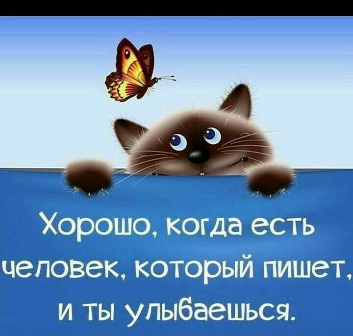 все будет хорошо картинки прикольные смешные с надписью школы