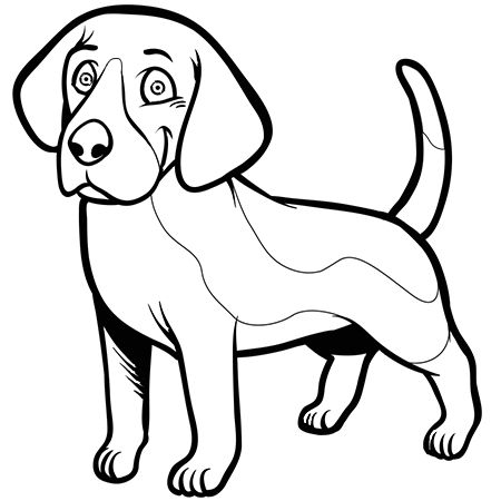 9 Idees De Chiens Chien Animaux Niche Chien 9 Idees De Chiens Chien Animaux Niche Chien