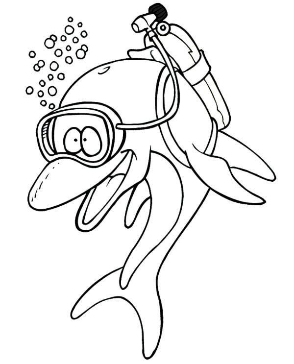 Dolphin Act Like A Diver Page To Print Coloring Page : Kids Play Color