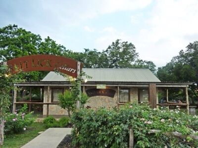 Speaking, would salt lick winery right! Idea Opinion salt lick winery opinion