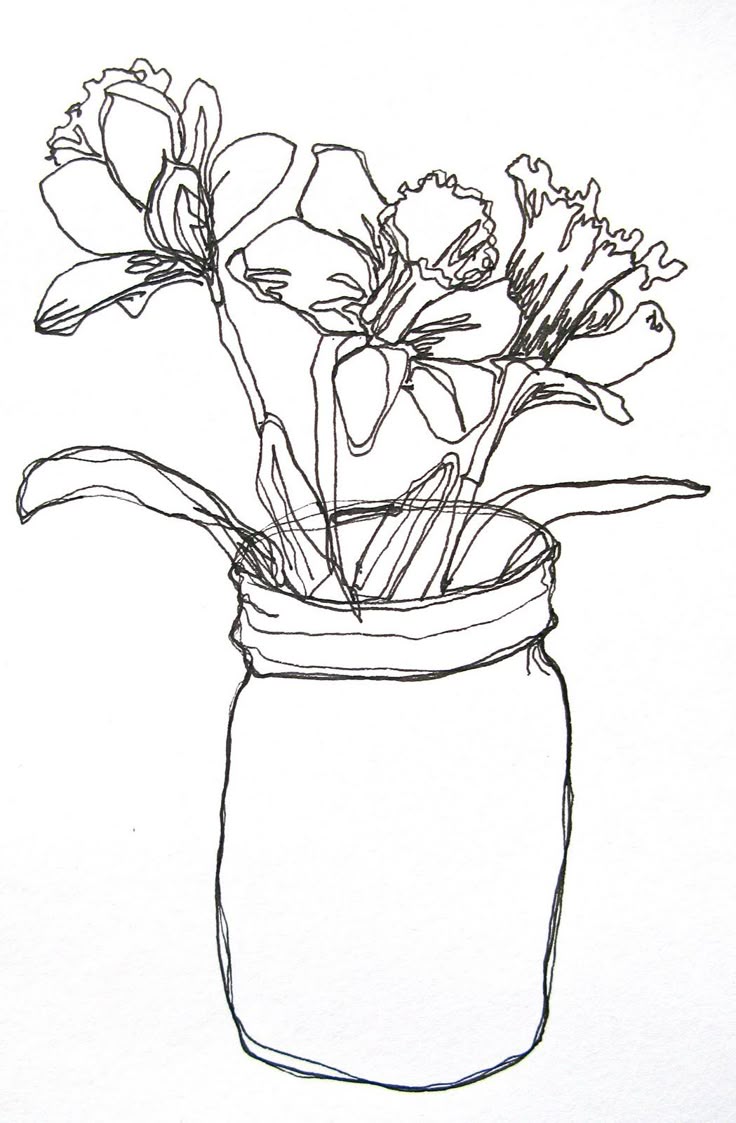 Contour Line Drawing Rubric : Best line drawing images on pinterest art education