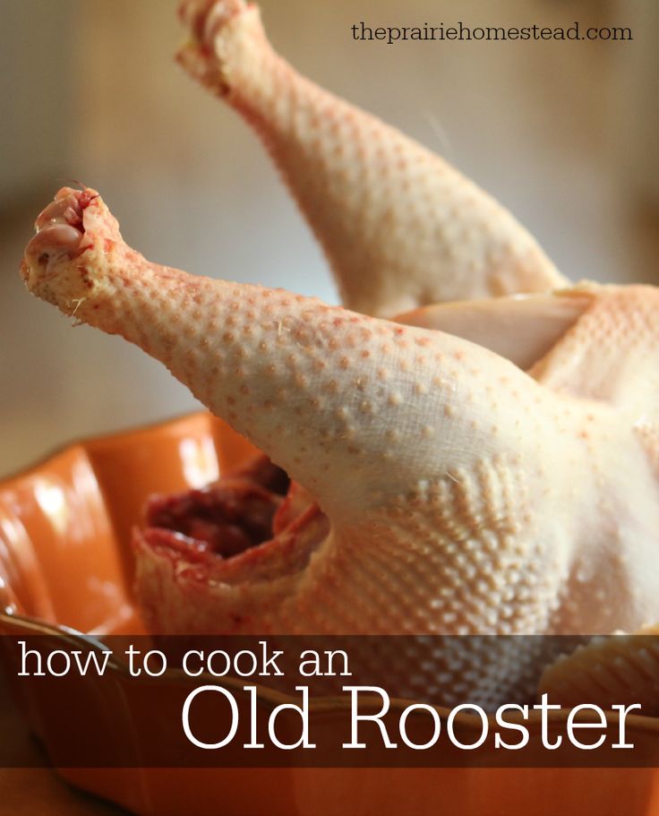 best 25 laying hens ideas on pinterest backyard best 25 laying hens ideas on pinterest backyard