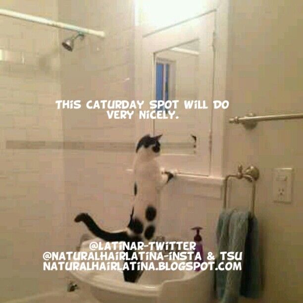 Bathroom Remodel Meme best 20+ bathroom meme ideas on pinterest | epic fail, fails and Bathroom Remodel Meme best 20+ bathroom meme ideas on pinterest | epic fail, fails and