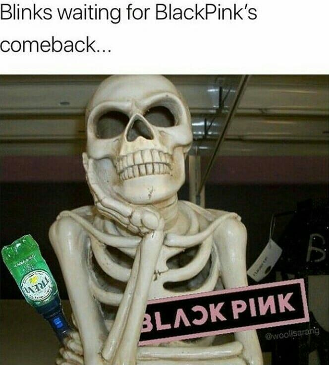 O MEME BLINKS KKKK #blackpink #blinks #blackpinkrose