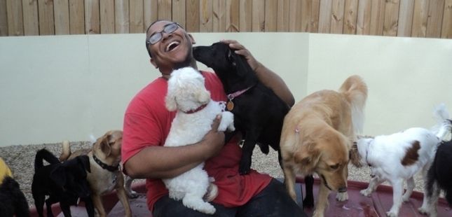Camp Bow Wow Midland Park Dog Daycare Camp Bow Wow Midland Park Dog Daycare