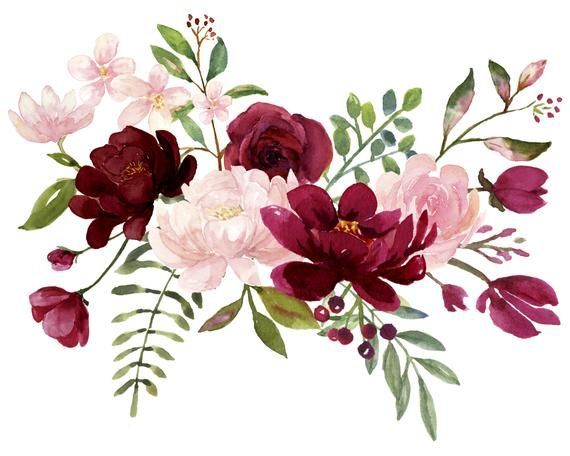 Watercolor Flowers Watercolor Clipart Hand Painted Bloom Png