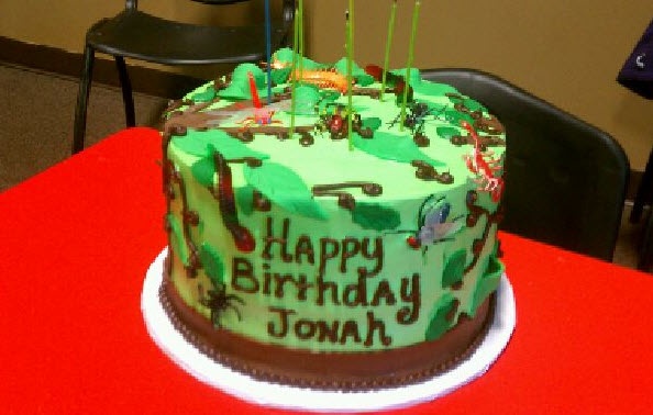 Insect Birthday Cake Ideas Insect Birthday Cake Ideas