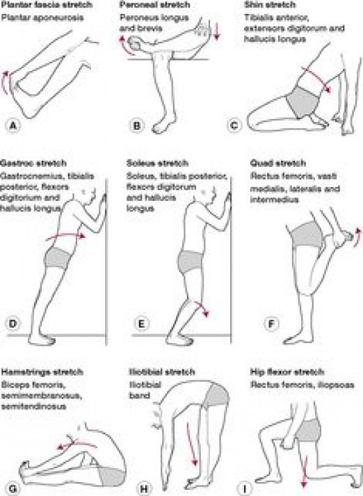 Pin on Psoas Strengthening