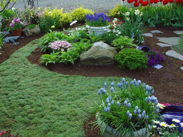 Flower Garden Ideas For Small Yards 34 best grassless (no mow yards!) images on pinterest Flower Garden Ideas For Small Yards 34 best grassless (no mow yards!) images on pinterest