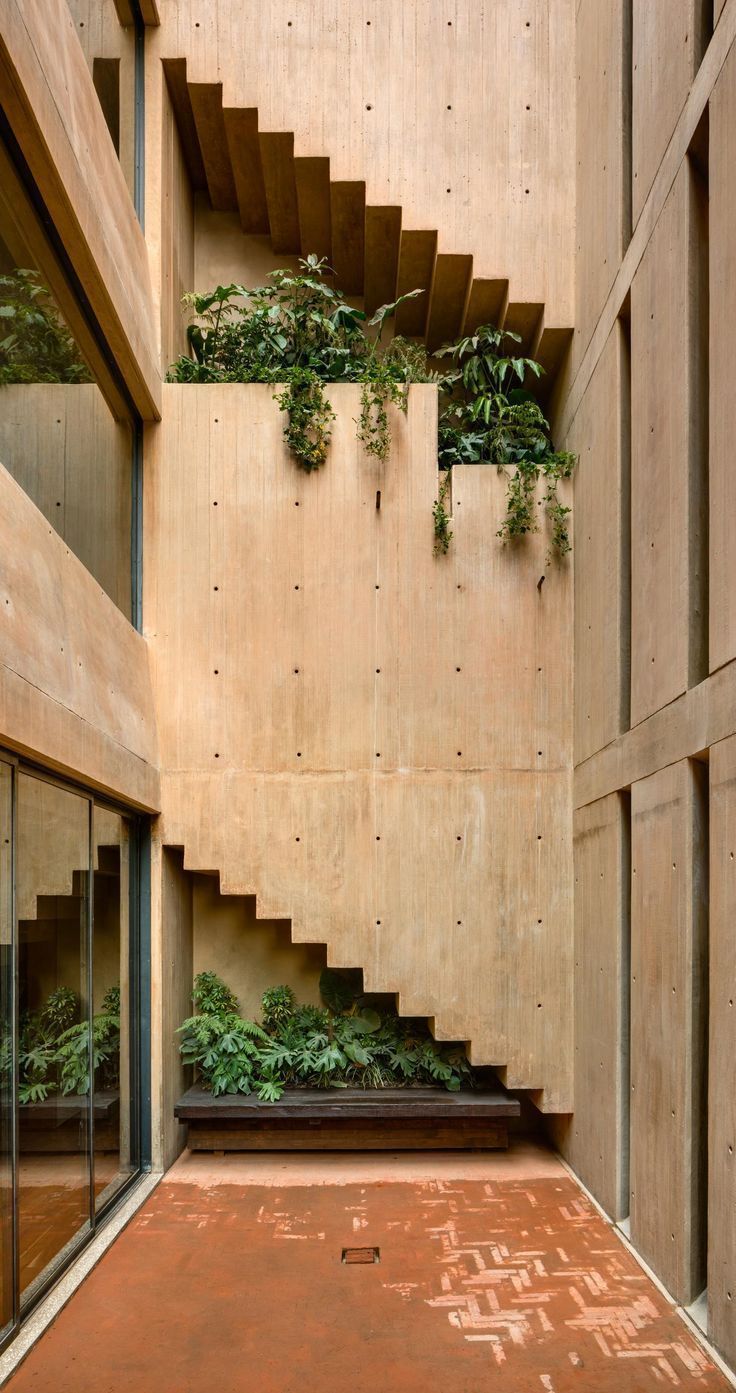 Architect Hector Barrosos concrete housing is built around three patios | Its of...