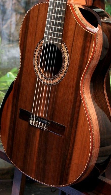 Macassar ebony guitar amusing message Macassar ebony guitar that would