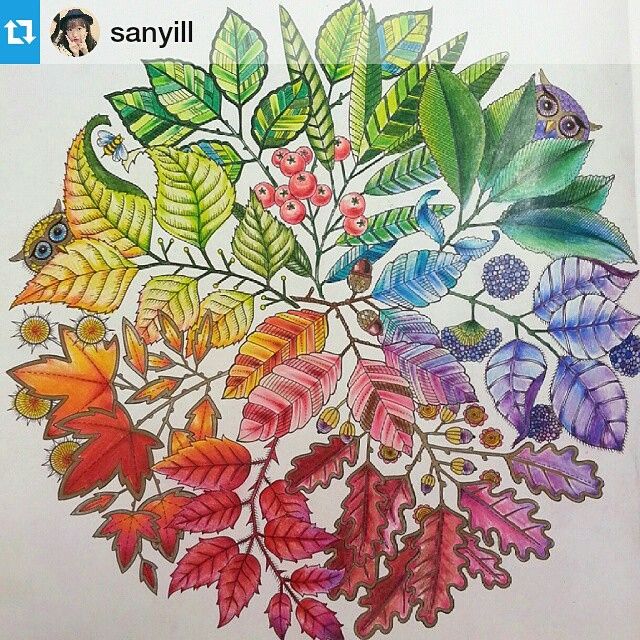 Repost Sanyill Cho Ca Da Color Pencil ArtAdult ColoringColoring BooksColored PencilsSecret GardensMandala MeditationJohanna