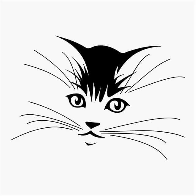Днем снега, смешная морда кота рисунок