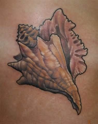 164 best american traditional tattoo images on pinterest 164 best american traditional tattoo images on pinterest
