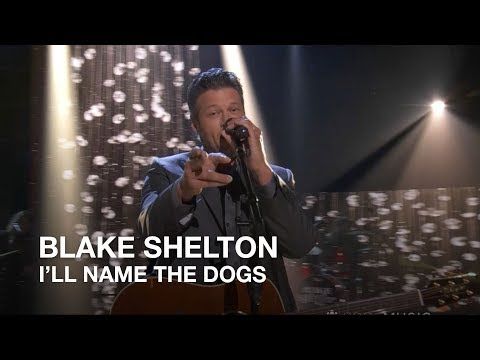 shelton i ll name the dogs lyrics 44 best country quotables images on country song lyrics and country shelton i ll name the dogs lyrics 44 best country quotables images on country song lyrics and country