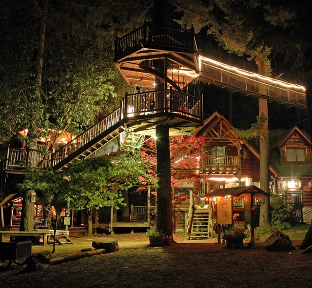 best 25+ best tree houses ideas on pinterest | awesome tree houses best 25+ best tree houses ideas on pinterest | awesome tree houses