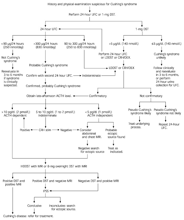 Charactgeristics Of Cushing S Disease Dogs Charactgeristics Of Cushing S Disease Dogs