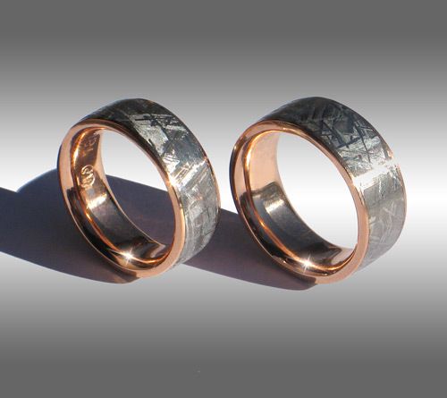 Petrified Wood Ring Gibeon Meteorite Overlaid On A Anium Wedding Petrified Wood Ring Gibeon Meteorite Overlaid On A Anium Wedding Band Fossil Jewelry And