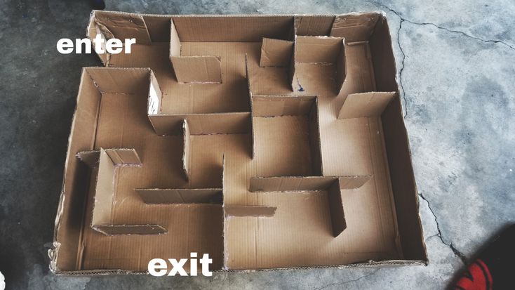 hamster maze diy easy hamster maze diy easy