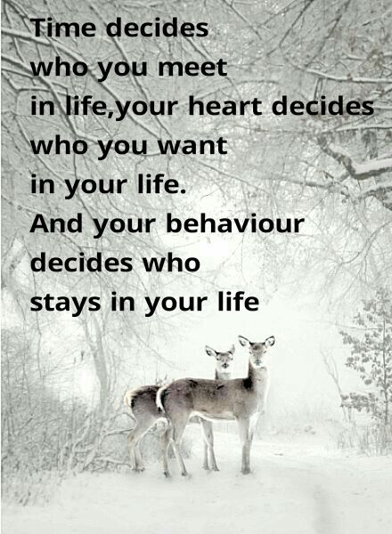 Time Decides Who You Meet In Your Life Your Heart Decides Who You Want time-decides-who-you-meet-in-your-life-your-heart-decides-who-you-want