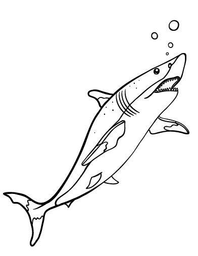 printable shark coloring page free pdf download at httpcoloringcafecom