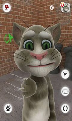 Katze Tom Spiele Katze Tom Spiele