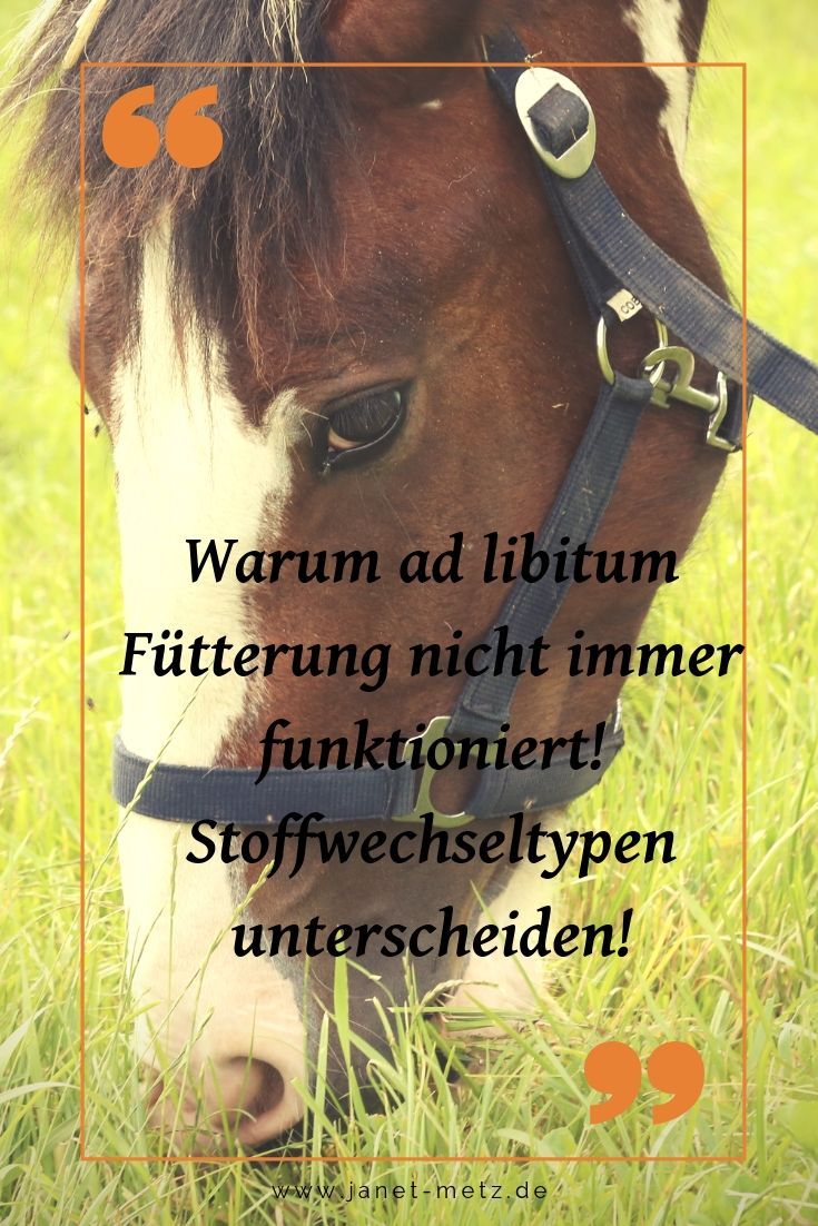 Stoffwechseltypen unterscheiden! Pferdepflege, Pferde, Stoffwechsel Stoffwechseltypen unterscheiden! Pferdepflege, Pferde, Stoffwechsel