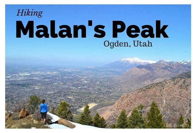 Dog Friendly Hikes Near Moab Dog Friendly Hikes Near Moab