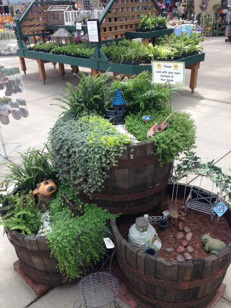 351 Best Fabulous Fairy Gardens Images On Pinterest 351 Best Fabulous Fairy Gardens Images On Pinterest Gardening Fairies Garden And Miniature