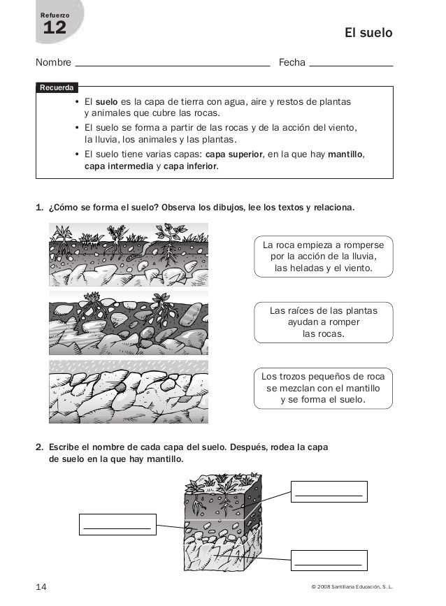 Refuerzo Y Ampliación Conocimiento Del Medio 4º Ciencias De La Naturaleza Actividades De Geografía Ciencia Natural