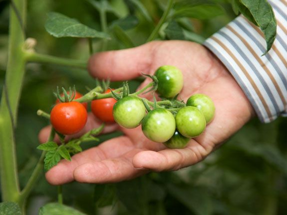 porn viedos world best site dating organic farmers