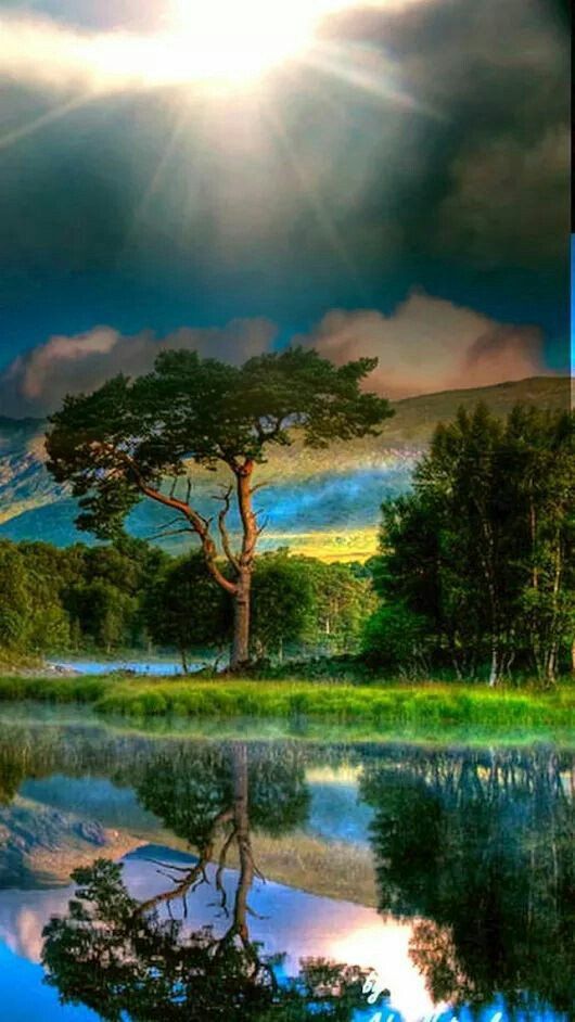 source green world awesome