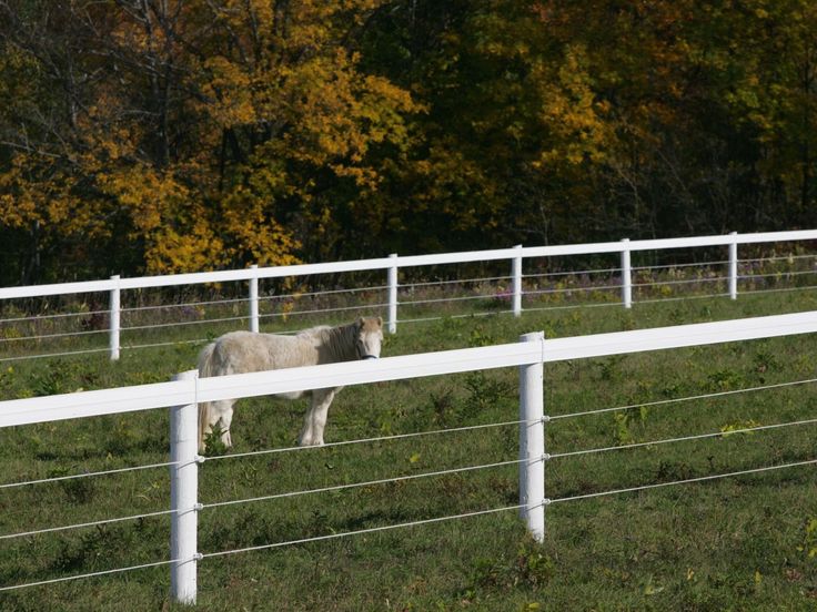 Electric Fencing Installations Electric fence, Types of fences, Fence