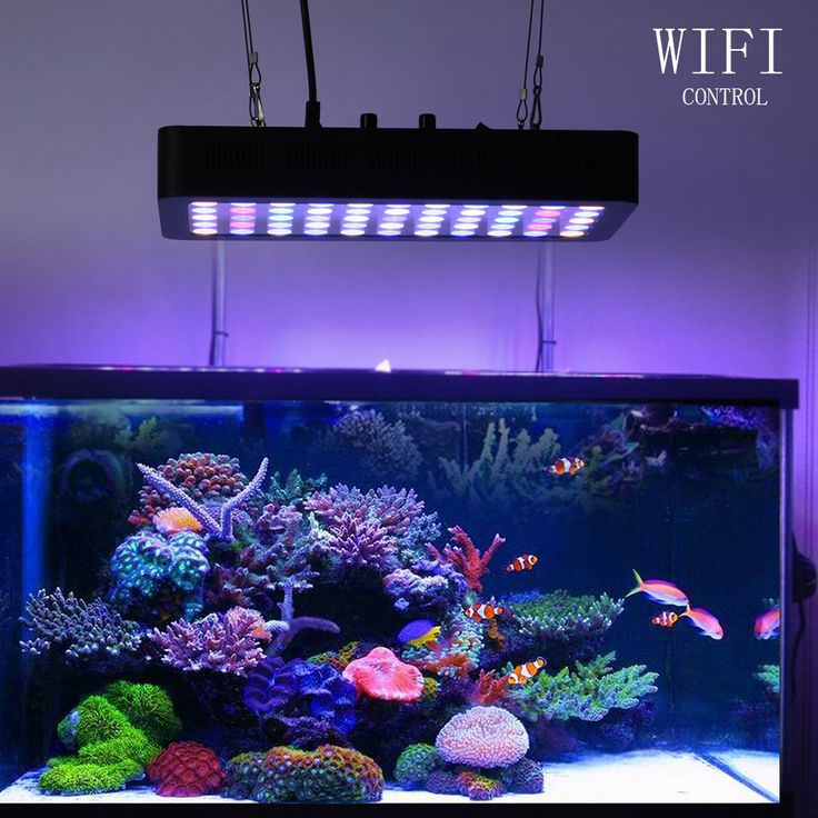Für Aquarium Licht Für Aquarium Licht