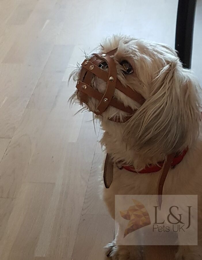 Leather Dog Muzzle For Shih Tzu And Other Flat Face Faced Short