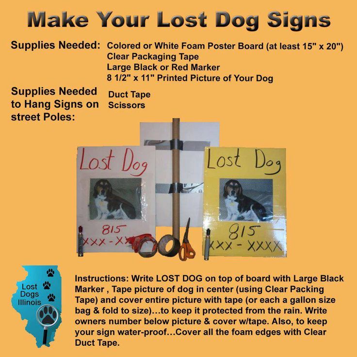 29 best Tips Hints to Help with Lost Found Dogs images on - make a missing poster 29 best Tips Hints to Help with Lost Found Dogs images on - make a missing poster
