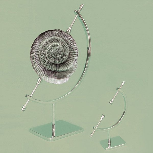 Fossil Or Mineral Display Stands From University Products Fossil Or Mineral Display Stands From University Products