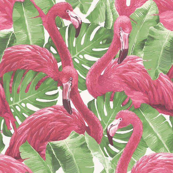 Flamingos 32 8 L X 21 W Smooth Wallpaper Roll Pink Flamingo Wallpaper Flamingo Wallpaper Tropical Wallpaper