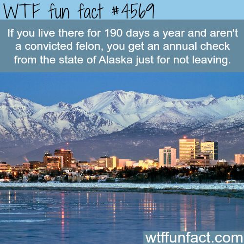 Alaska Will Pay You For Living There Fun Facts Alaska Will Pay You For Living There Fun Facts Pinterest Weird And