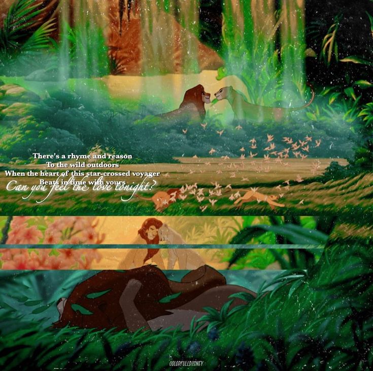 On Instagram Lion King Hey Thank You For Someone Who On Instagram Lion King Hey Thank You For Someone Who