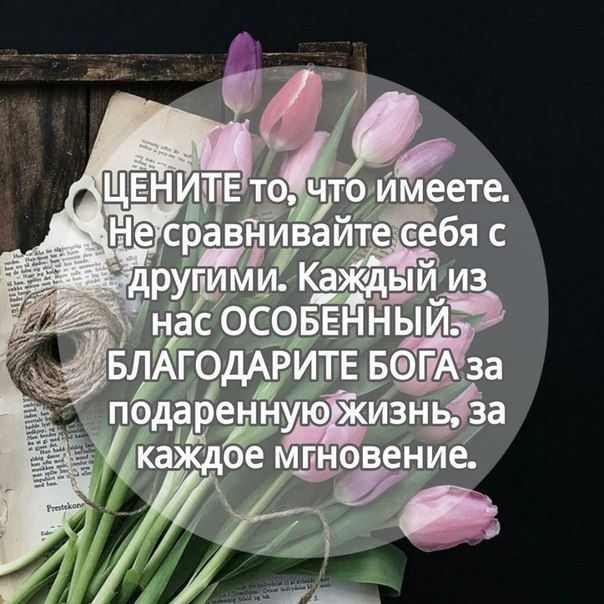 Поздравительные, новые открытки с цитатами из библии