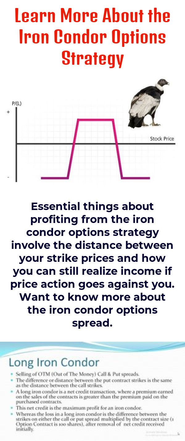Your Margin Trading Guide