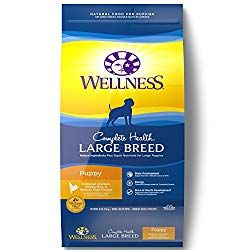 Best Food For Doberman Puppy Dogs Dog Food Recipes Large Breed
