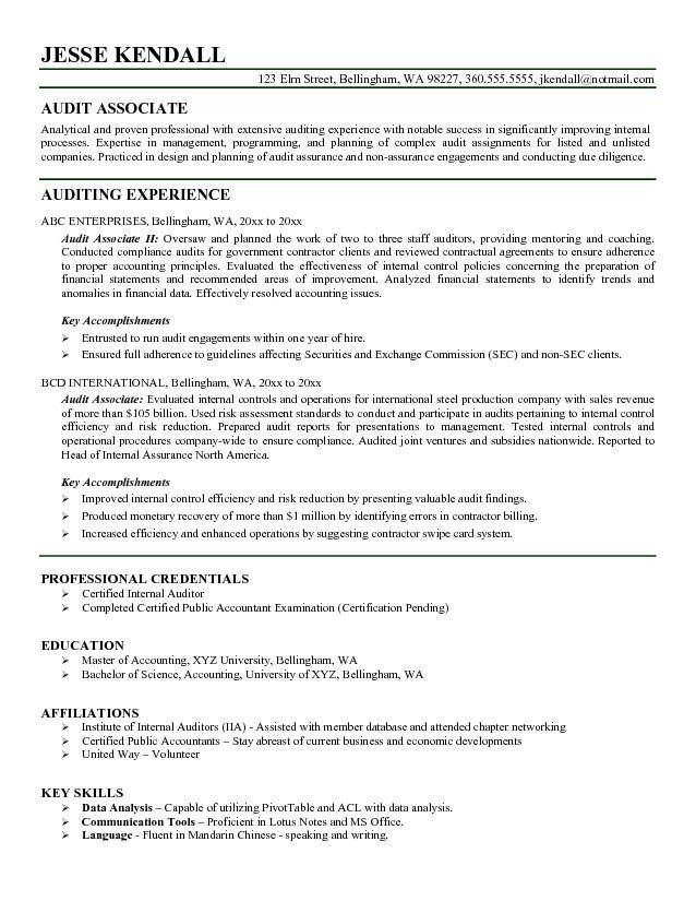 auditor resume example resume skills pinterest auditor resume example