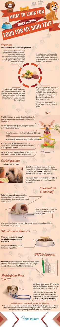 Unbiased Dog Food Reviews Canada Unbiased Dog Food Reviews Canada