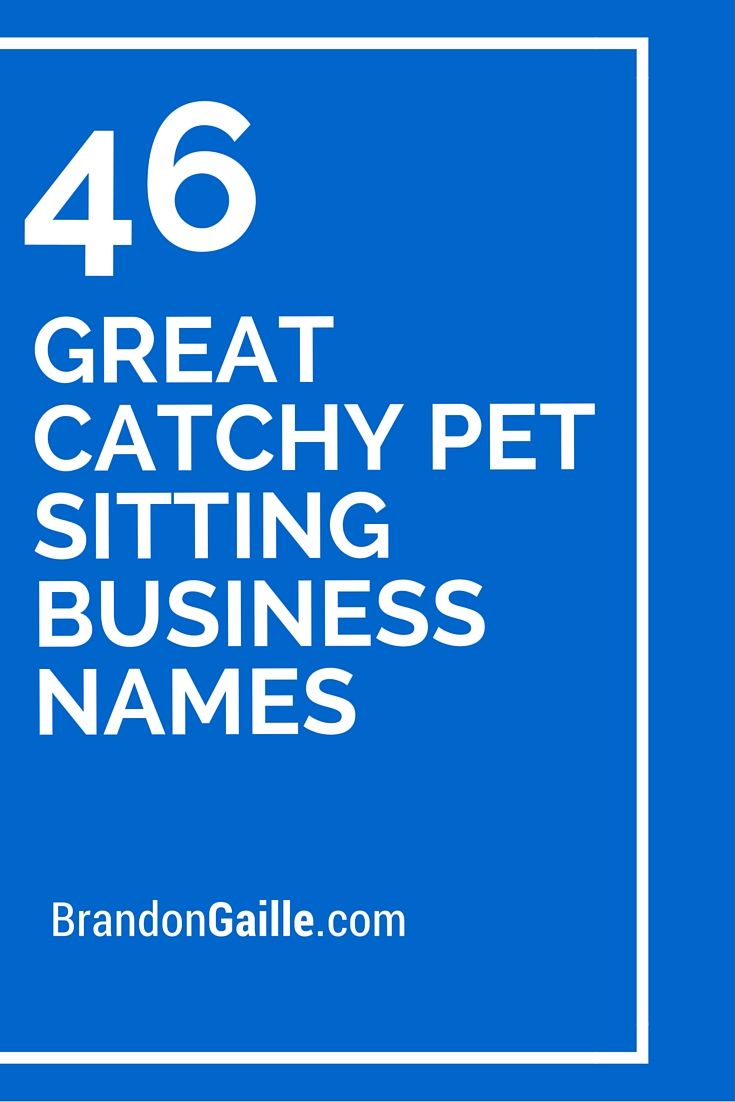 125 great catchy pet sitting business names pet sitting dog sitting names
