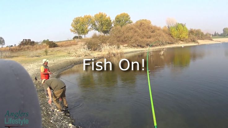 Fishing A Trout Plant At Quarry Lakes Fremont CA YouTube Quarry