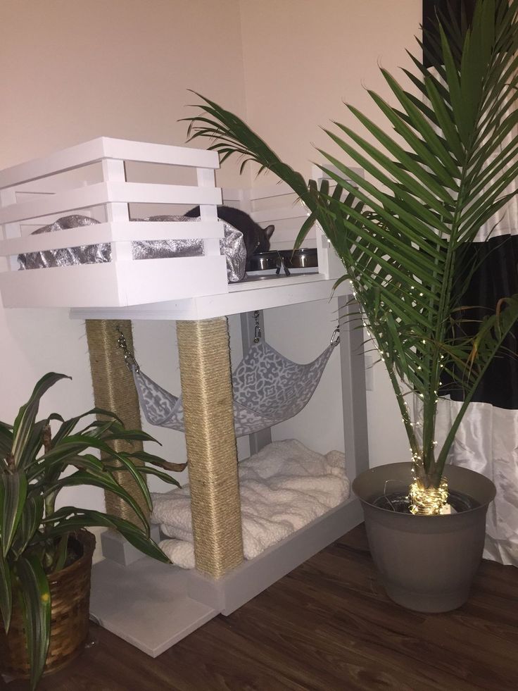 Ev Yapımı Kedi Yatak ve Oyuncakları Dubleks Ev Planları Kedi