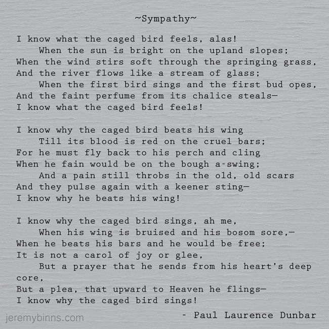 the poem sympathy by paul laurence dunbar the poem sympathy by paul laurence dunbar