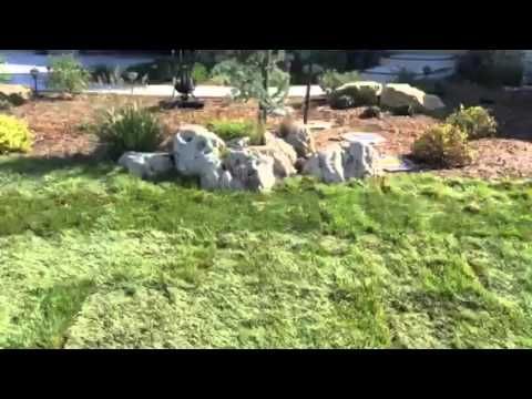 13 Best Sod Services - Sod Installation Wichita, Kansas Images On Sod Services in Wichita, Kansas - 13 Best Sod Services - Sod Installation Wichita, Kansas Images On